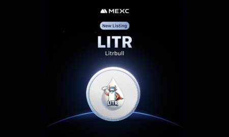 LITRBULL game